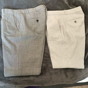 Express pants